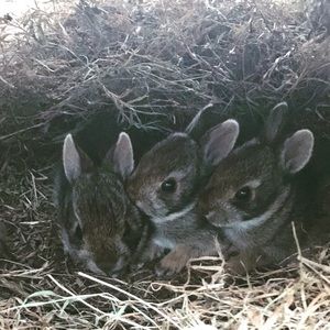 Meet your Posher, Wendy